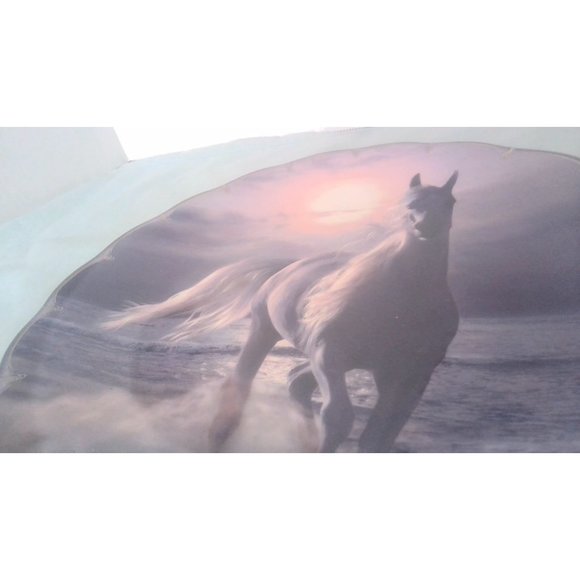 Mystic Running Stallion Braford Exchange Ltd. Collector Plate By Christian Riese - Picture 3 of 6